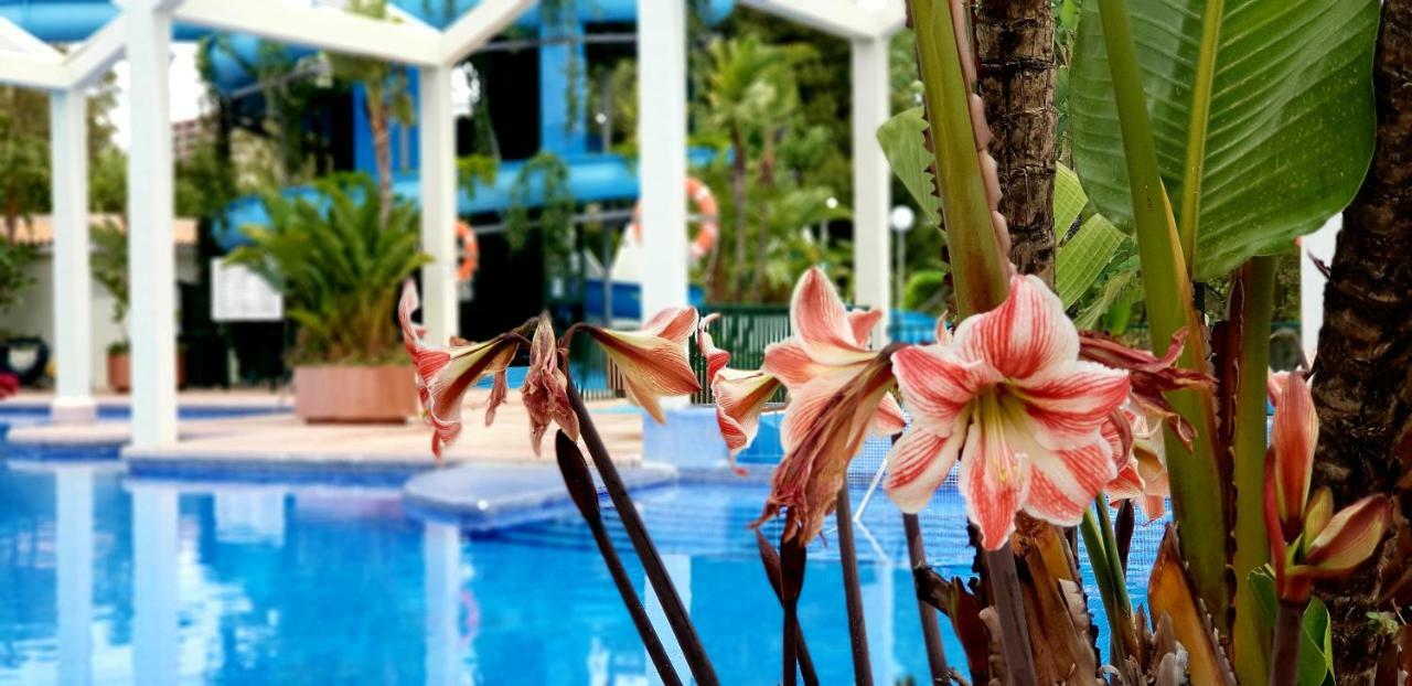 El Estudio De La Playa Benalbeach Holidays Deluxe Benalmadena Ngoại thất bức ảnh